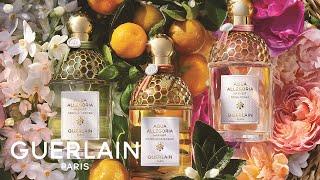 Aqua Allegoria Harvest | GUERLAIN