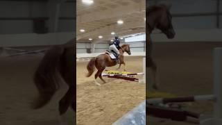 riley and prim helped me get a 2nd o/f and 3rd on the flat! 2 perfect draws️️