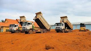 That's Amazing 3 Truck 25T Dumping Red Soil and the Best Bulldozer is pushing the soil to complete