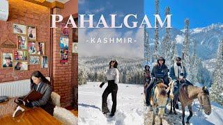 Pahalgam Kashmir | Baisaran Valley | Mini Switzerland | Pony rides & exploring cafe | 2024 | EP5