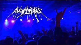 Angelmaker 1-27-24