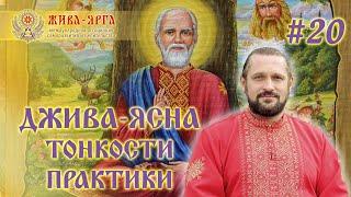 ДЖИВА-ЯСНА. ТОНКОСТИ ПРАКТИКИ. Школа Живы и Жива-Ярги #20 Владимир Куровский