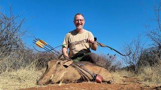 Warthog with a recurve - Tales From the Willows - Sofala Safaris - Tradbow - With Pumba