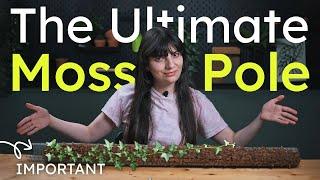 How to build better moss poles for your plants