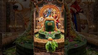 सोच-समझ कर तुमने सबकी तक़दीर बनाई#trending #youtubeshorts #mahadev #sadstatus #bhakti