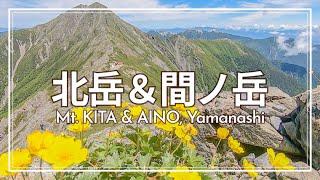 【7月上旬】北岳＆間ノ岳縦走登山！日本一高い稜線歩きとキタダケソウを楽しむ2泊3日｜肩の小屋と北岳山荘に1泊｜Mt. Kita and Mt. Aino【SUB/旅VLOG/アフレコ】