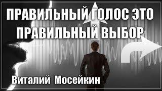 Виталий Мосейкин : "Правильный голос - это правильный выбор"| г.Доброполье 18.07.2021