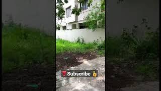 4 BDA Plots with all world class amenities | Reliaable Lifestyle | Electronic city Bangalore #Shorts