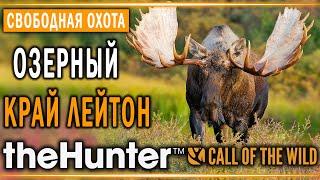 theHunter Call of the Wild #2  - Озерный Край Лейтон (часть 1) + 2 БРИЛЛИАНТА - Свободная Охота