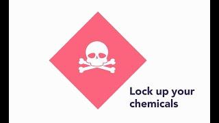 Tips for a healthy home: Lock up your chemicals