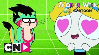 Ещё одна неделя на канале Cartoon | Очаровательные кошки | Cartoon Network