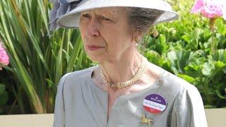 Why Princess Anne wears brooch with a horse? #royaljewels #jewellery #princessanne