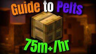 This is How PELTS Make 75m+/Hr - The ULTIMATE Pelt Guide | Hypixel Skyblock