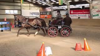 Fahrturnier Ibbenbüren 9.3.2025 (Sicon Cup)