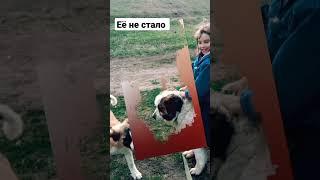 05.11.2022 года остановилось твое сердце  лекса мы будем тебя помнить и навещать 