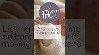How does your baby tell you “I’m hungry”? Comment #baby #breastfeeding #lactation #shorts