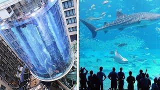 15 Largest Aquariums in the World