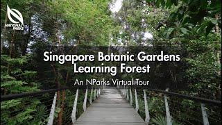 Singapore Botanic Gardens Learning Forest | An NParks Virtual Tour