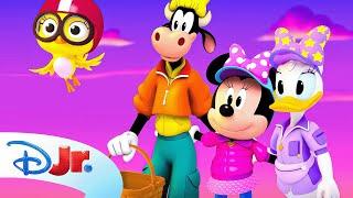 Minnie's Bow-Toons: Camp Minnie | Minnie Goes Camping Compilation ️ | 1 Hour | @disneyjr​