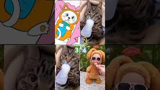 BAYI KUCING INGIN MINUM SUSU Episode 2 #shorts #funny #cat
