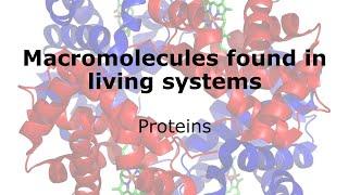 Macromolecules: Proteins