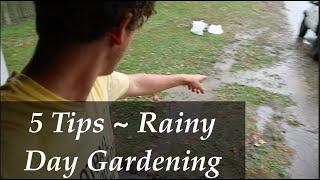 5 TIPS for GARDENING on RAINY Days