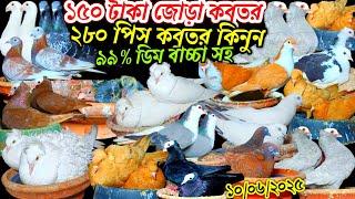 ১৫০ টাকা জোড়া ডিম বাচ্চা সহ ঈদের তৃতীয় দিন ২৮০ পিস ৯৯% কবুতর পৃথিবীর সেরা নামিদামি নতুন কবুতর
