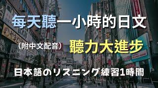 保母級聽力訓練｜從零開始學日文，日常對話輕鬆聽！N4日文聽力進步神速｜日本のリスニング練習（附中文配音）