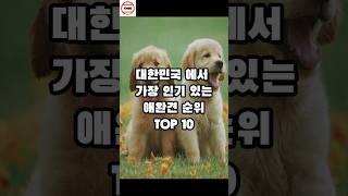 대한민국 에서 가장 인기 있는 반려견 순위 TOP 10