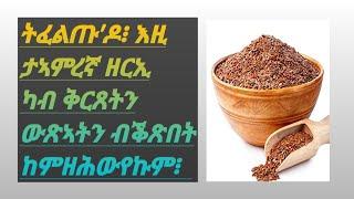 ካብ ቅርጸትን ውጽኣትን ረኽስን ኣብ ገዛኹም ብዘይሓኪም እትፈወስሉ ሚስጢር።