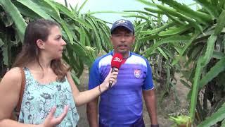 Destinos Ecuador visita la Isla Puná, cantón Guayaquil