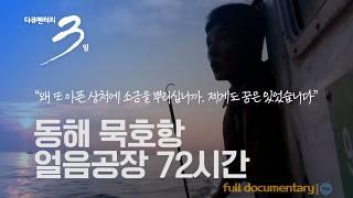 [다큐3일] 낭만어부 "한 잔은 떠나간 너를 위하여, 한 잔은 너와 나의 영원했던 사랑을 위하여" 동해 묵호항 얼음공장 72시간 | KBS 2015.08.23 방송