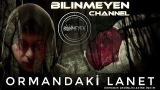 ORMANDAKİ LANET