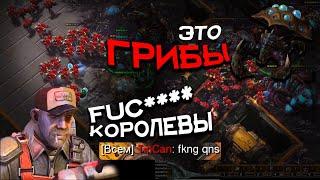 КОРОЛЕВЫ ИМБА? Легендарные мухоморы в StarCraft 2