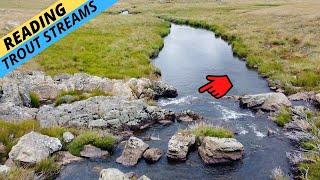 HOW-TO: Catch More Trout (& Other Fish!) by "Reading" Streams