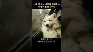 이해되지 않는 사람을 만났을 때, 마음이 상하지 않으려면#공감영상 #위로가필요할때 #지친하루 #조용한위로 #말한마디의힘