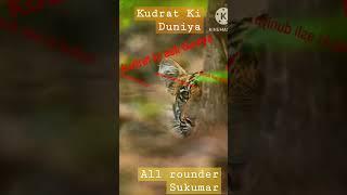 # Kudrat ki Banaya asli#Duniya #subscribe#like#trindingshots#vairl# YouTubeshorts#all roundersukumar