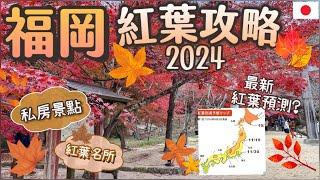 福岡賞楓懶人包2024 | 不能錯過的紅葉景點 | 最新九州紅葉預測 |在地人推薦賞楓一日遊