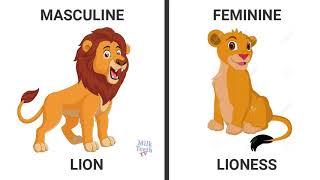 Learn Genders in English with pictures|Learn masculine Feminine Gender