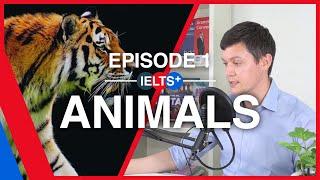 IELTS English Podcast - Speaking Topic: Animals