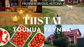 Tiistai touhua täynnä /  Tehdään pikasiivous kotona / Arkivlogi