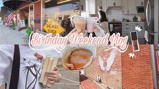 Birthday Weekend | Antique shoppen | Alltag | Haul incl neue Books  INTROVERT DIARIES VLOG