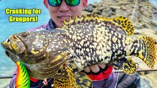 Grouper luring with Rapala Shad Dancer - Kusu Island Fishing