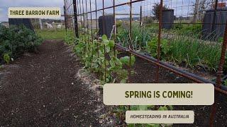 Garden Update at Three Barrow Farm, Spring is Coming!