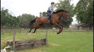 My show jumpers 1st time jumping a bank