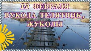 19 февраля  Вукола Телятник, Жуколы. Зачем людям двойня телят?