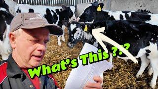 CALFS Are SELLING Like HOTCAKES - The Day I LOST My Trailer Plug… And What I Did Next