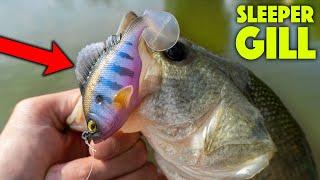 Bass Fishing With MEGABASS SWIMBAITS!