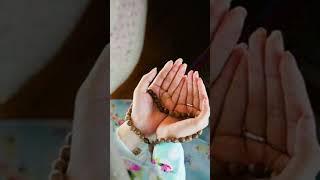 Dua #spiritualarmy #quran #dua #nabi