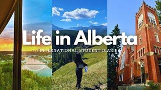 Life in Alberta | International Student Diaries ~ summer days, road trips, festivals | Canada Vlog